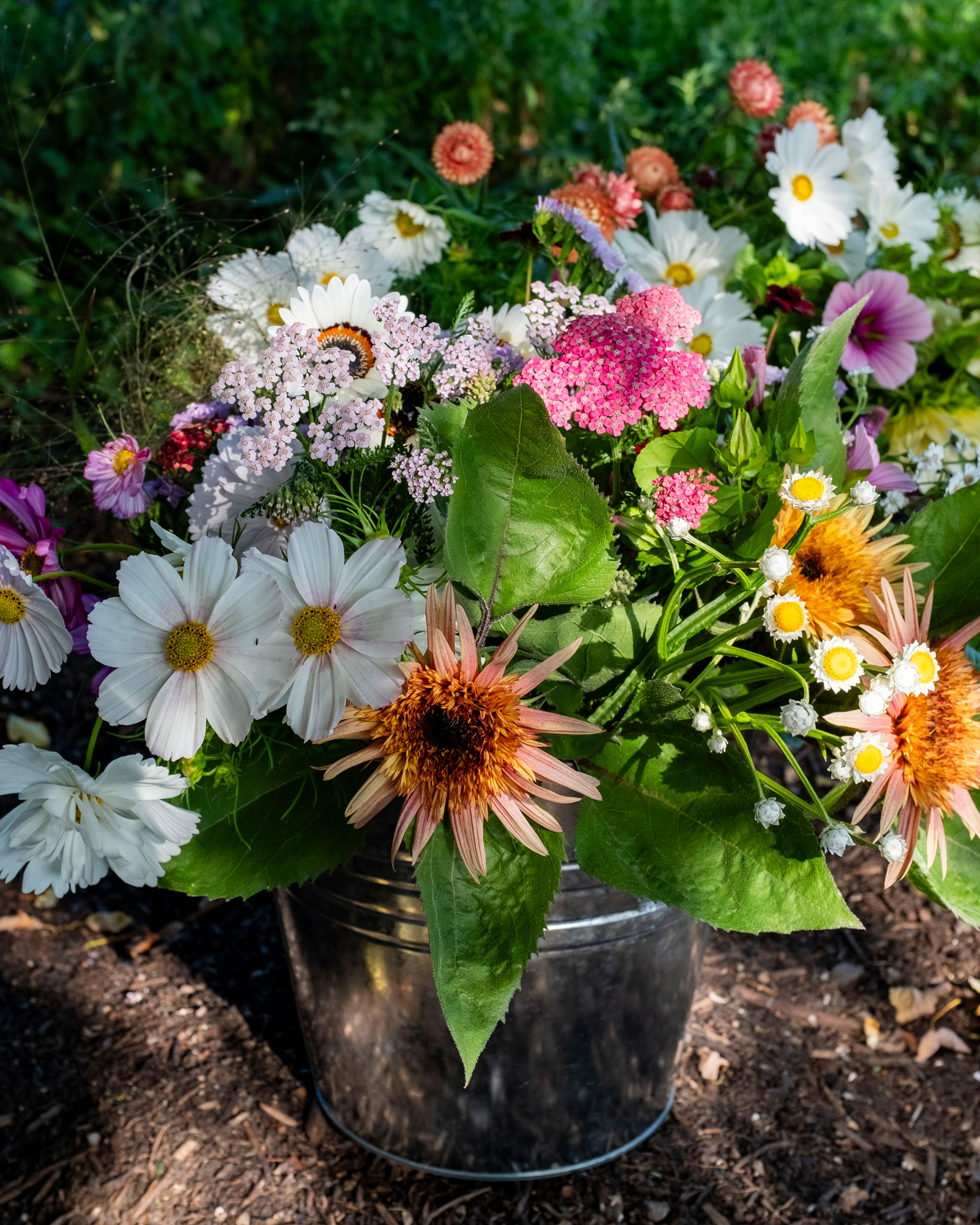 Mixed flower bucket